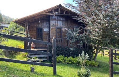 Sogamoso Ski Chalet | Acogedora cabaña de madera en la naturaleza para desconectarse