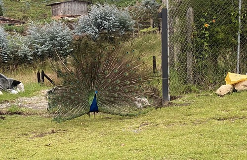 Medellin Cottage | Acogedora Casa de Campo en Santa Elena