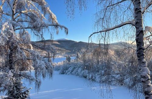 Wetlina Ski Chalet | Adamówka Smerek