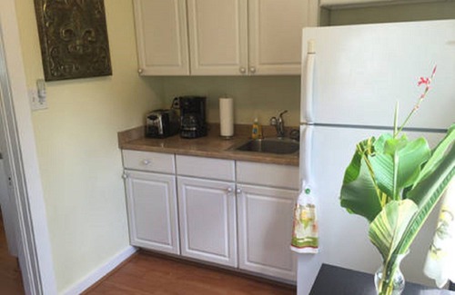 Central Carrollton Association House | Adorable Quiet House Pvt Courtyard on Street Car Line