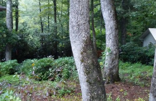 Newland House | Adult Summer Camp in the Mountains!