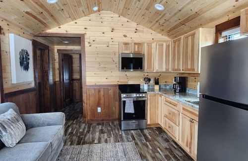Victor Cabin | Adventure on Aspen ID