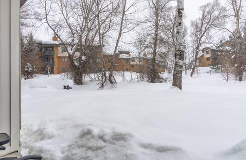 Steamboat Springs Hotel | Adventure Vacation! Spacious Unit, Near Steamboat Ski Resort, Hot tub, Ski Equipment Rental, Free Parking, Skiing