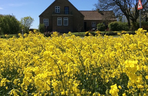 Aeroskobing House | Adventurous view of the Funen archipelago and the Baltic Sea