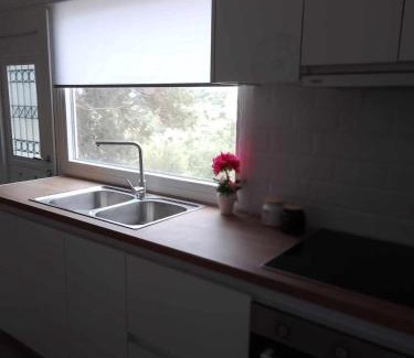 Termenades Apartment | Afionas Cottage