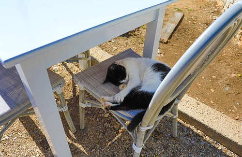 Agni Apartment | Agapi Studio in Kalami