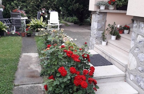 Sarospatak House | Agica Apartman- near the Thermal Water in Sarospatak