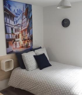 Mulhouse Apartment | Agréable Studio tout équipé à Mulhouse