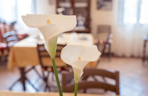 Bellombra Bed & Breakfast | AgriB&B Corte Burchio