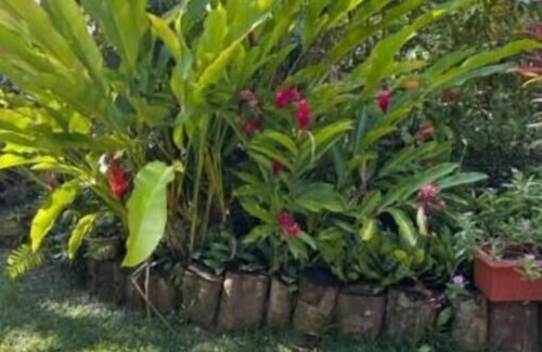 Zig Zag Ward Cottage | AgriTourism Villa within the tranquil jungle of Mahe, 5mins from the beach.