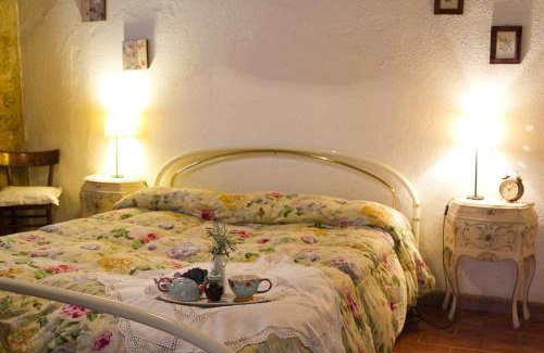 Castelnuovo di Val di Cecina House | Agriturismo Santa Caterina