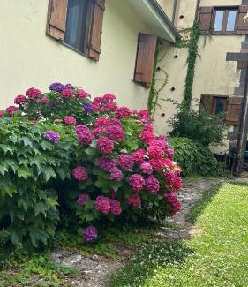 Calvanico House | Agriturismo Casale Piè d'Eco