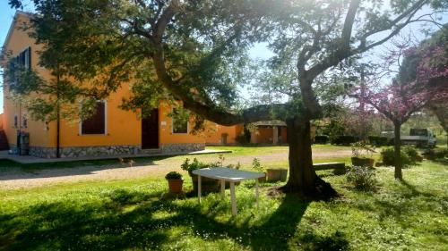 Magliano in Toscana House | Agriturismo da Remo