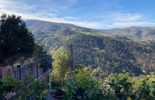 Greve in Chianti Apartment | Agriturismo La casina di Castellinuzza e Piuca