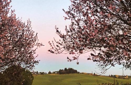 Siena Apartment | Agriturismo La Terrazza sul Mangia