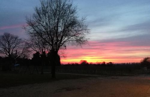 Fogliano Redipuglia Bed & Breakfast | Agriturismo Le Giarine