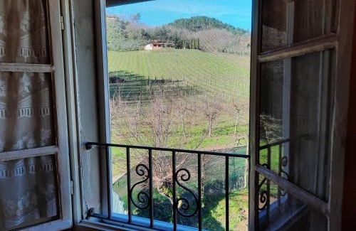 Lucca Apartment | Agriturismo Tenuta Adamo