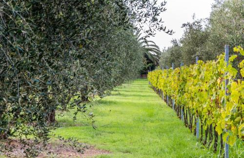 Follonica House | Agriturismo Villa Isa