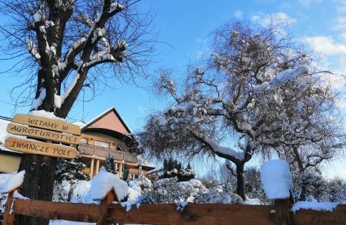 Iwonicz-Zdroj House | Agroturystyka Iwańcze Pole
