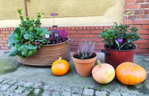 Sycow House | Agroturystyka Lesieniec - Magdalena i Maciej Mochoń