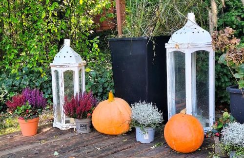 Sycow House | Agroturystyka Lesieniec - Magdalena i Maciej Mochoń