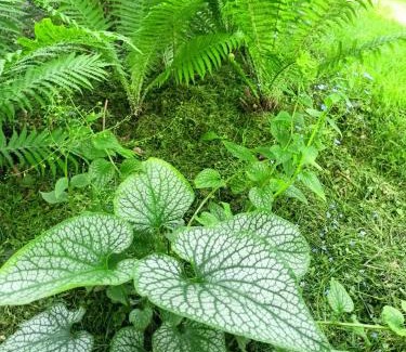 Boleslawiec Bed & Breakfast | Agroturystyka Pod Dębami