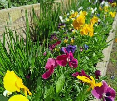 Boleslawiec Bed & Breakfast | Agroturystyka Pod Dębami