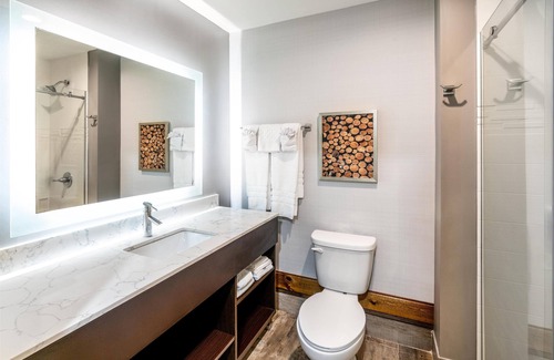 Warm Springs Hotel | Aiden by Best Western Warm Springs Hotel and Event Center