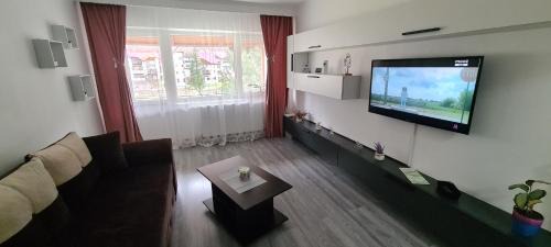 Slanic-Moldova Apartment | AKY Residence