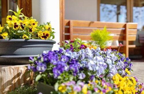 Mareo Apartment | Al Cargá San Vigilio di Marebbe