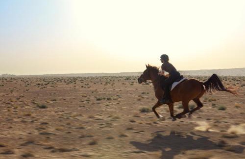 Murqquab Hotel | Al Maha, a Luxury Collection Desert Resort & Spa, Dubai