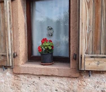 Ponte nelle Alpi House | Al Viandante Casa Rosa