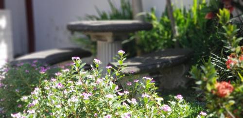 Agonia Hotel | ALAJUELA CITY Hotel & Guest House