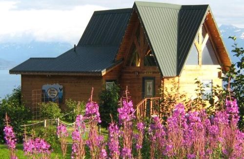 Homer Cabin | Alaska Adventure Cabins