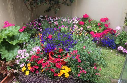 Whitianga Bed & Breakfast | Albert Mews B and B