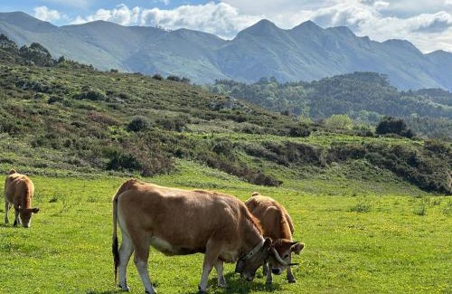 Llamigo Hotel | Aldea del Trasgu