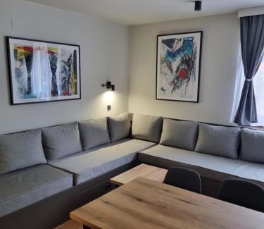 Kopaonik Apartment | ALEGRA Bela reka C118, Brzeće