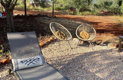 Silves Other | Algarve Olive Tree Lodge