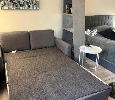 Mainz-Bingen Apartment | Alice Apartment Wackernheim