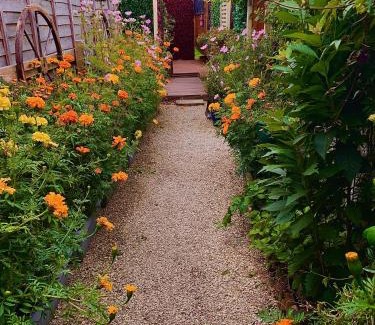 Fulford Other | Alices Garden Two