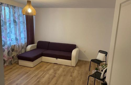 Ocna Mures Apartment | Alin's home