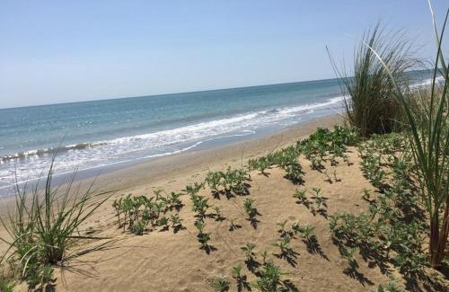 Brussa House | Alloggi e Trattoria Agli Alberoni