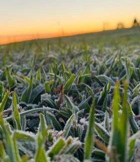 Sao Francisco de Paula House | Almorão