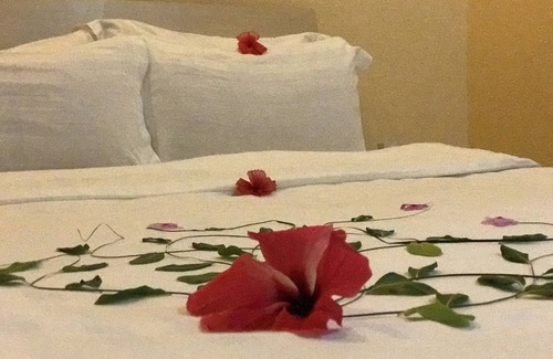 Rasdhoo Hotel | Aloha Rasdhoo, located few minutes away from private beach.