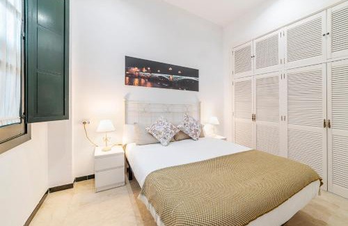 Alameda Apartment | Alohamundi Lumbreras IV