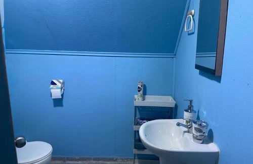 Curacautin House | Alojamiento 2 Oriente