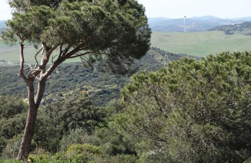 Alcala de los Gazules Apartment | Alojamiento Rural El Lario