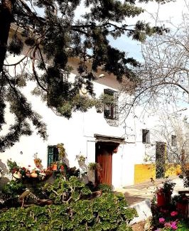 Torredonjimeno House | Alojamiento Rural Las Viñas