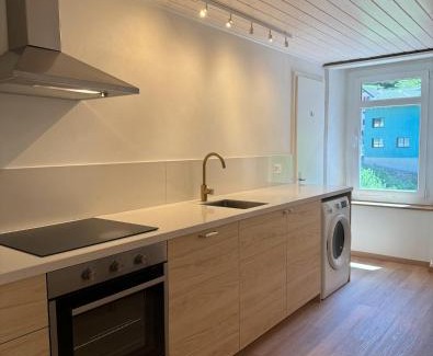 Goeschenen Apartment | Alpine Haus
