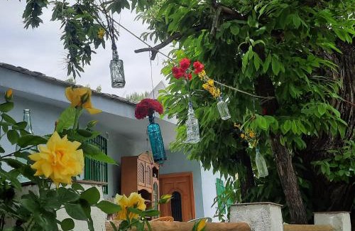 Canar Bed & Breakfast | Alpujarra Guesthouse, remote off-grid mountain accommodation